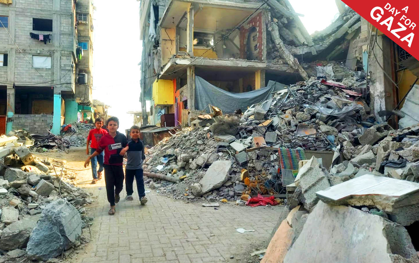 The Colorful Block in 2025.