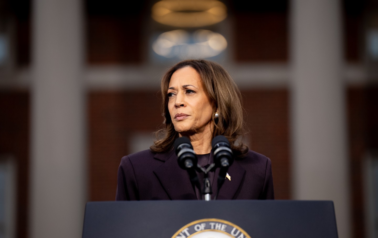 What Was the Biggest Factor in Kamala Harris’s Defeat?